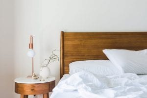 bed bug removal Billings