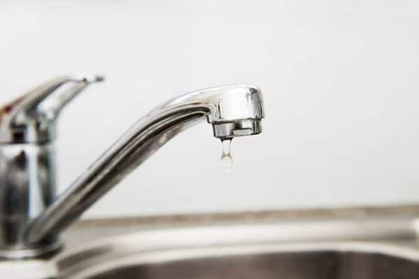 blog-kitchen-pests - Best Pest Control, Cheyenne, Wyoming Tips to keep your kitchen pest-free - Best Pest Control, Cheyenne, Wyoming - Page 9