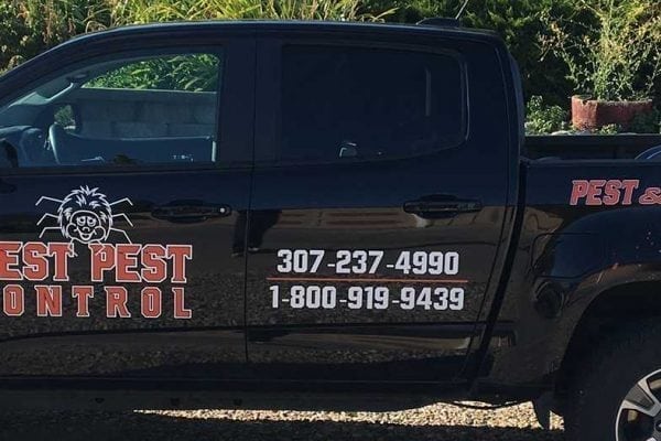 truck - Best Pest Control, Cheyenne, Wyoming Have spiders made themselves at home? - Best Pest Control, Cheyenne, Wyoming - Page 8
